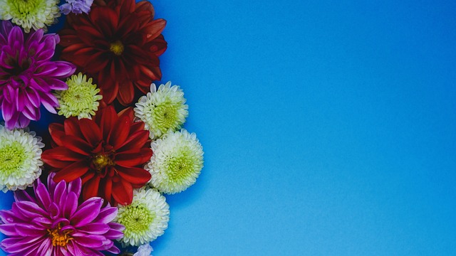 运动的热土 运动的热土