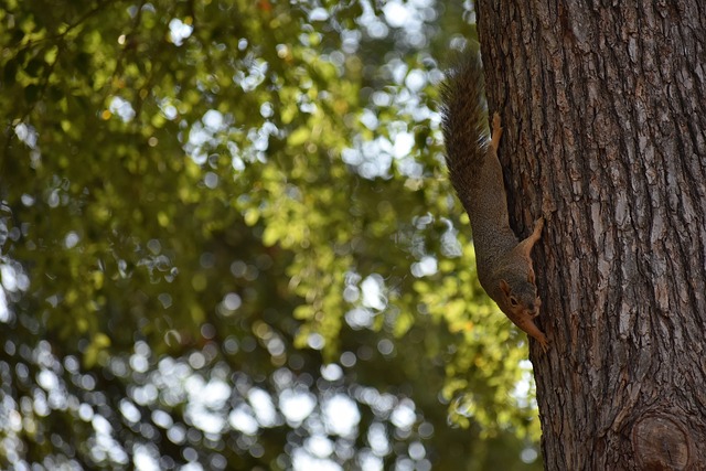 宜发展冰雪 宜发展冰雪