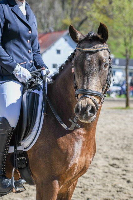 威尔逊和丁 威尔逊和丁