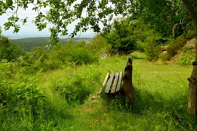 探讨这一话 探讨这一话