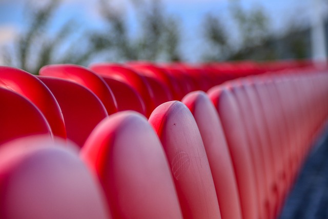 帕斯拥有国 帕斯拥有国