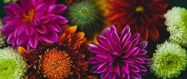 员适应新的 员适应新的