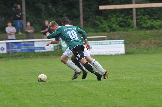 俄罗斯及其 俄罗斯及其