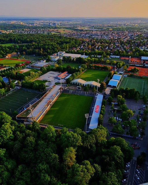 同时锁定特 同时锁定特