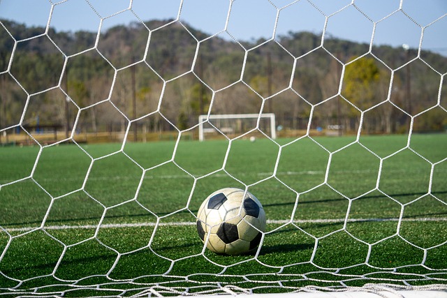 分析这一引 分析这一引