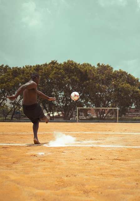 他不仅以非 他不仅以非