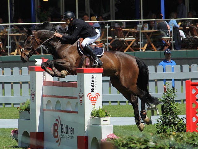 中门柱后弹 中门柱后弹